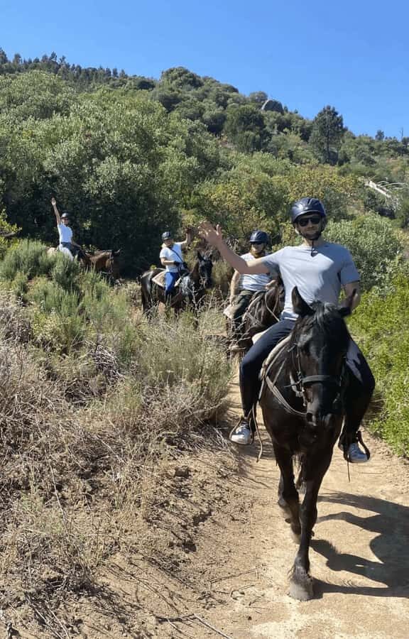 Vrede en Lust Wine Estate: 2H Horse Trail - The Fynbos and Bird-Life Moment on the Trail