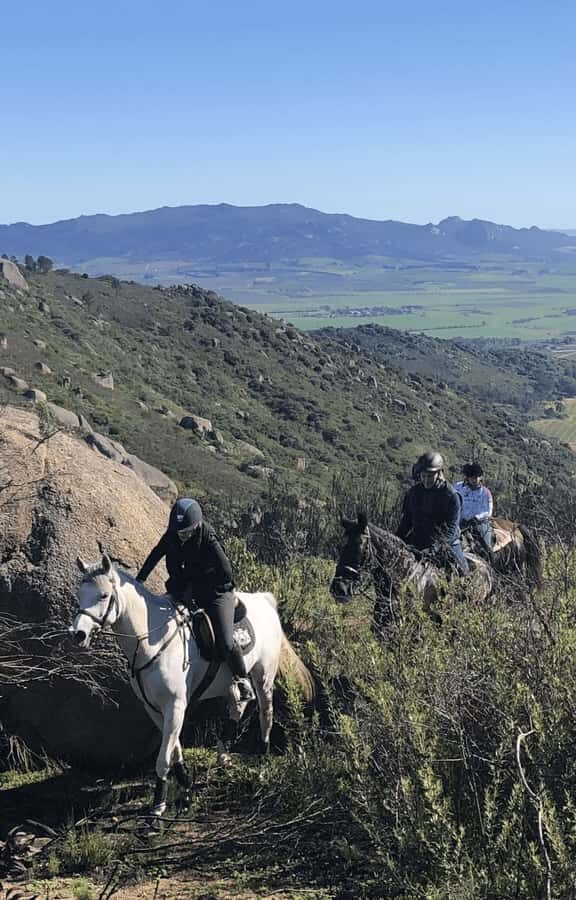 Vrede en Lust Wine Estate: 2H Horse Trail - Who Will Feel Most Comfortable on This Horse Trail