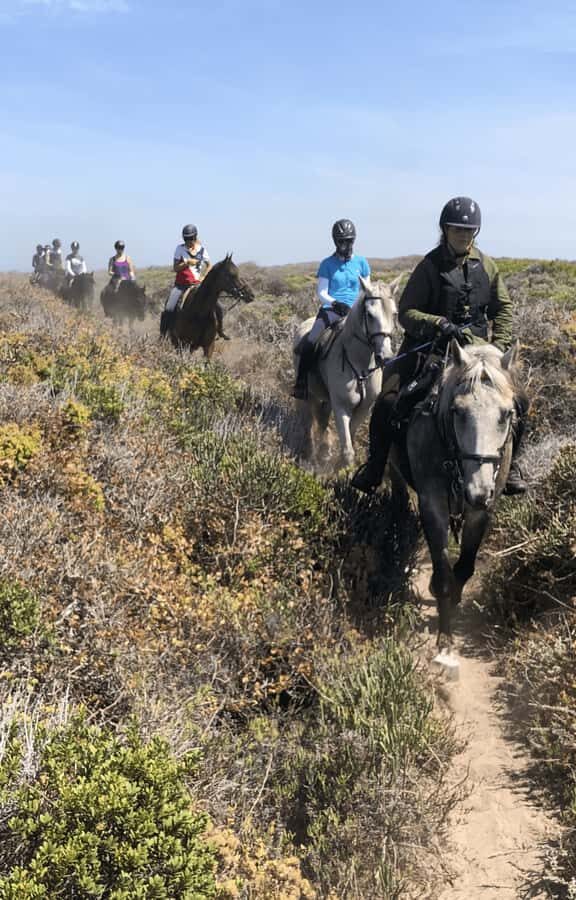 Vrede en Lust Wine Estate: 2H Horse Trail - Price and Value: Is $180 Worth It?