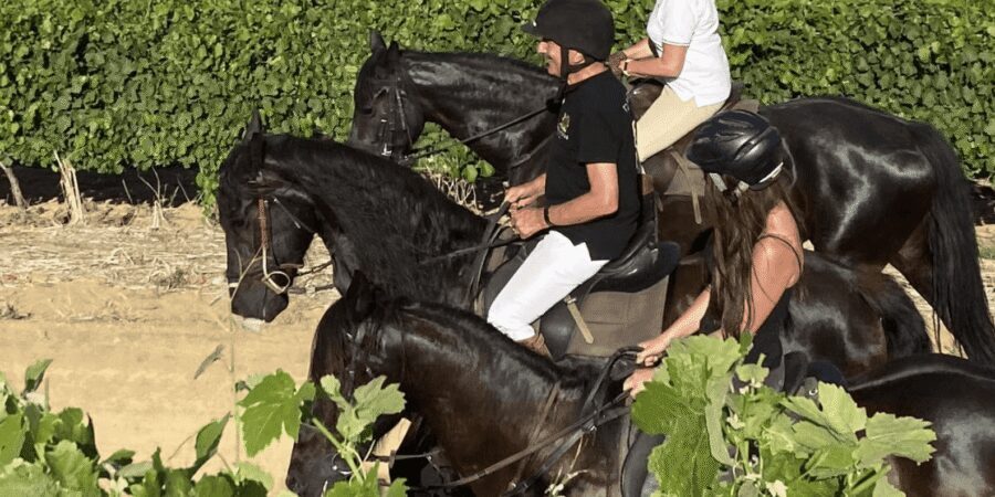Vrede en Lust Wine Estate: 2H Horse Trail - Timing, Roadworks, and What to Bring So You Don’t Get Stressed