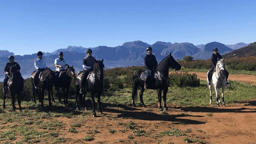 Vrede en Lust Wine Estate: 2H Horse Trail - Getting Matched With a Horse (and Why the Briefing Matters)