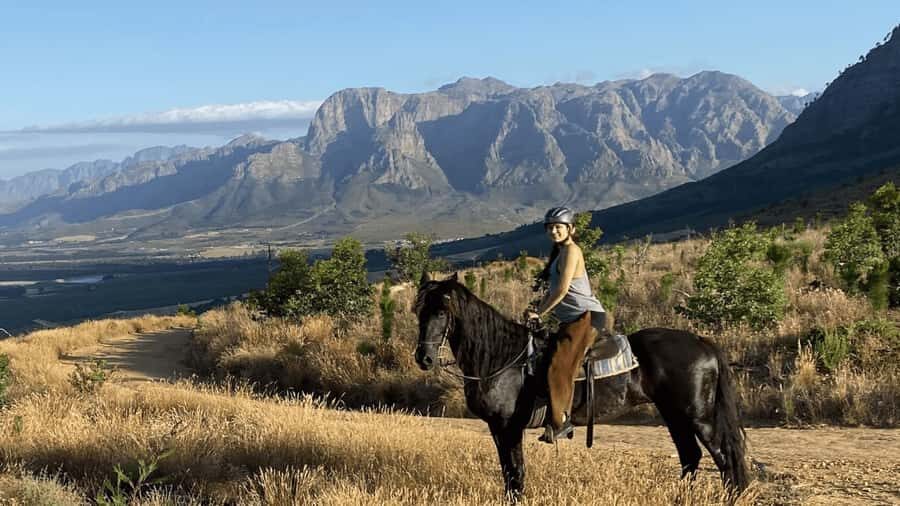 Vrede en Lust Wine Estate:1-Hour Horseback Riding Experience - Key things I’d lock in before you go