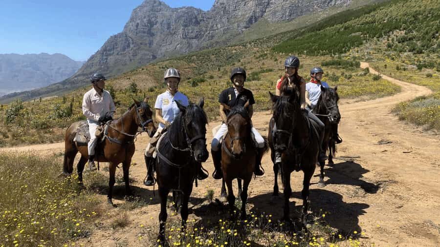Vrede en Lust Wine Estate:1-Hour Horseback Riding Experience - Horses that feel calm, not like “school gear”