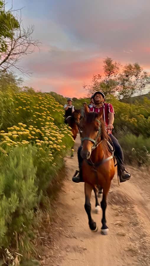 Vrede en Lust Wine Estate:1-Hour Horseback Riding Experience - Views, vineyards, and the kind of Franschhoek you don’t get from a car