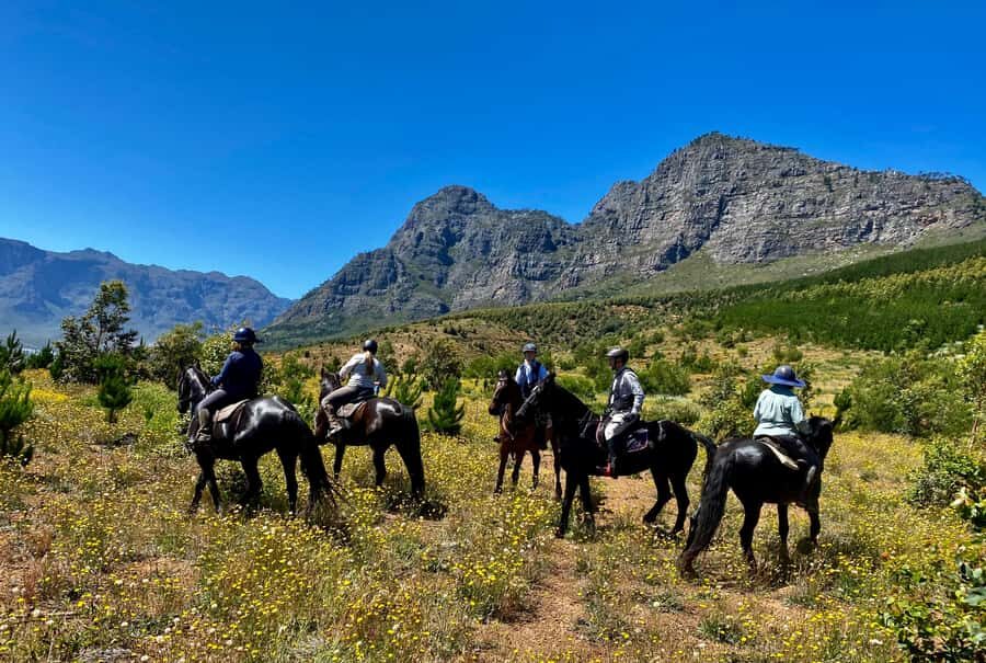 Vrede en Lust Wine Estate:1-Hour Horseback Riding Experience - What to bring: comfort on a horse is mostly about basics