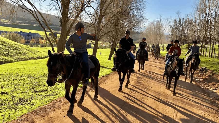 Vrede en Lust Wine Estate:1-Hour Horseback Riding Experience - The 1-hour flow: from paperwork to the last goodbye