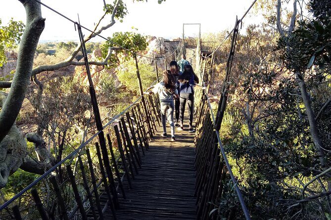 Walk with Elephants Experience plus Monkey Forest Walk - Price and Value: Is $343.42 Worth It?