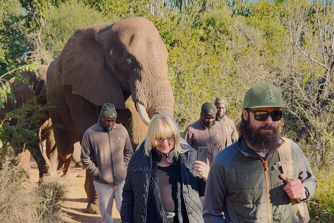 Walk with Elephants Experience plus Monkey Forest Walk - What to Expect on the Ground: Comfort Tips That Matter