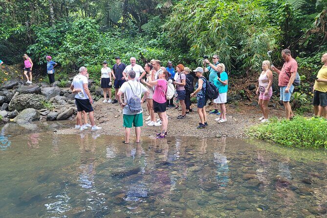 Waterfall and Beach Safari in Santa Lucia - Beach Time on the West Coast: Calm Caribbean Water and Local Treats
