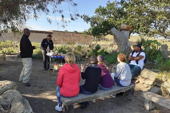 West Coast Day Trip from Cape Town - Packing and comfort tips for a 9-hour nature day
