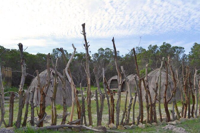 West Coast Safari and Khoi San village COMBO - PRIVATE TOUR - Key highlights at a glance