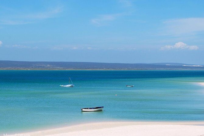 West Coast Wonders Full Day Tour with Private Transfer - Price and value: what you’re really paying for at about $247 per person