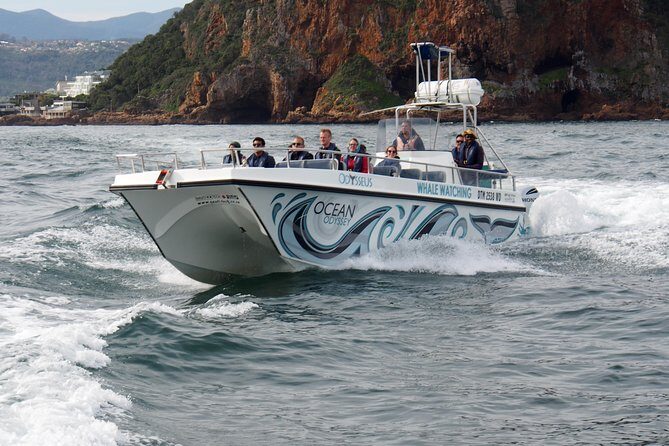 Whale Watching Knysna - Close Encounter Experience Ocean Odyssey - Who This Tour Is Best For