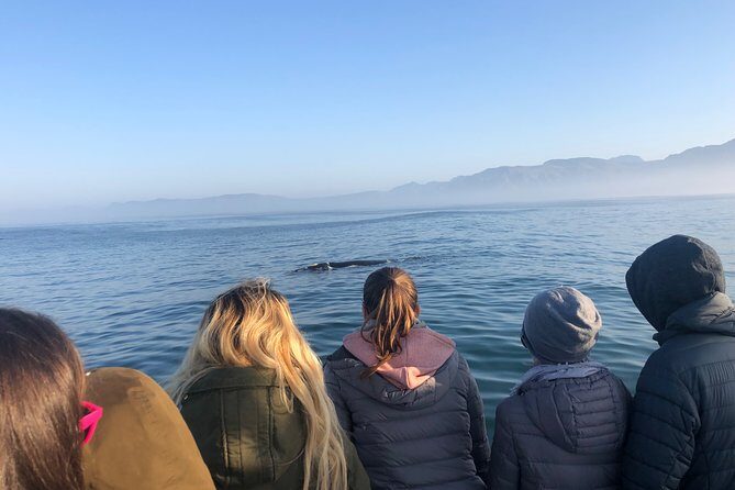 Whale Watching Tour in Hermanus with Hotel Pickup - Key things I’d want you to notice before you go