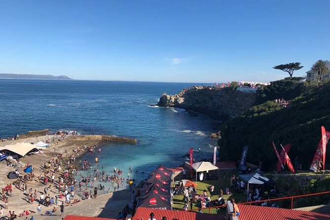 Whale Watching Tour in Hermanus with Hotel Pickup - Getting to Hermanus without wasting daylight
