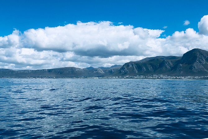 Whale Watching Tour in Hermanus with Hotel Pickup - Stop 1 in Hermanus: a town break with lunch options