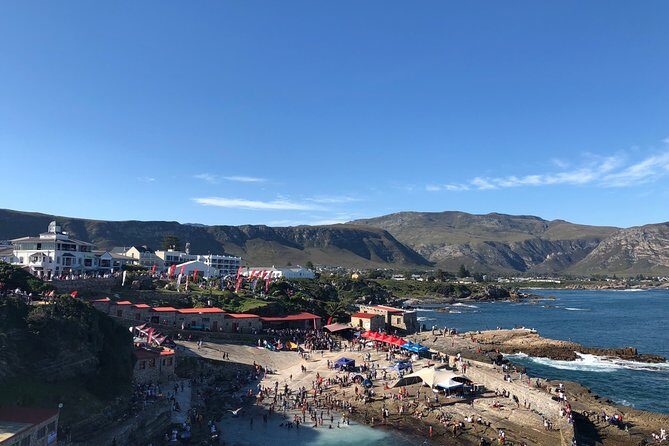 Whale Watching Tour in Hermanus with Hotel Pickup - How the schedule feels: 6 to 8 hours of focused coastal time
