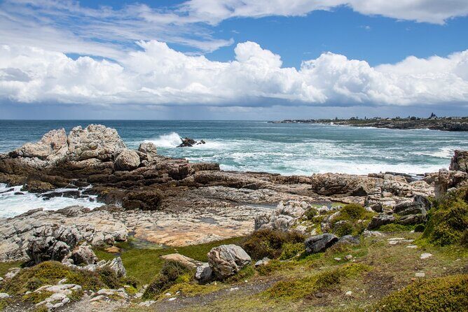 Whale Wonders: Majestic Marine Adventures in Hermanus - The boat trip: where close whale viewing becomes real
