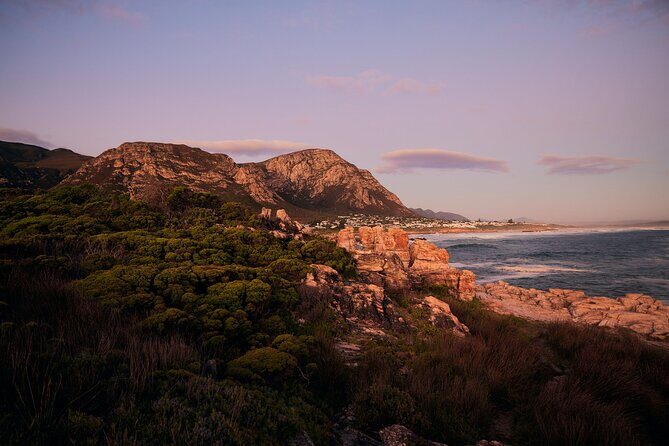 Whale Wonders: Majestic Marine Adventures in Hermanus - Timing tips that make the day easier