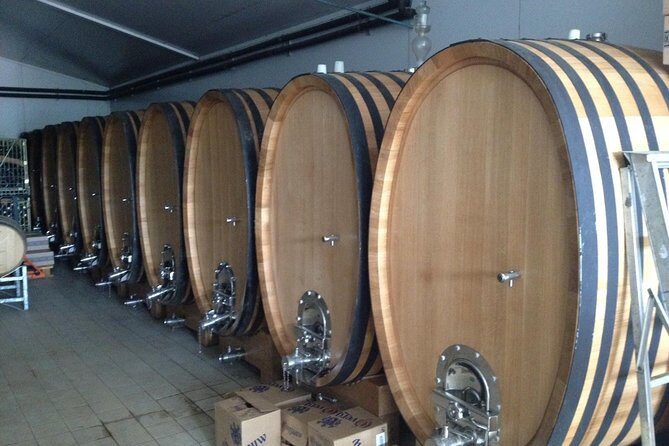 Wijntoer - Reserve tour with a winemaker! - Why This Reserve Tour Beats the DIY Route in Stellenbosch