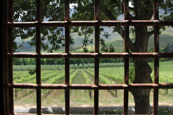 Wijntoer - Reserve tour with a winemaker! - Stop 2: Edgebaston Vineyard with David Finlayson Wines