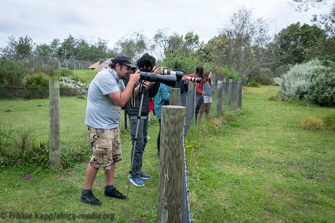 Wild Cat Experience Tour - The 1-hour walking tour: what you’ll do step by step
