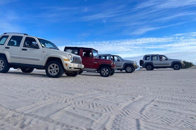 WildX Adventures Jeep 4x4 White Sand Dunes in Cape Town Atlantis - Price and value: what $39.85 really buys you