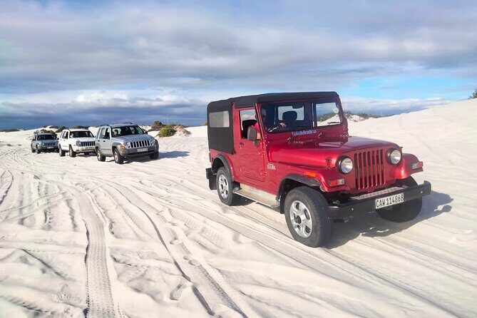 WildX Adventures Jeep 4x4 White Sand Dunes in Cape Town Atlantis - Water, comfort, and what to bring for a 1-hour dune session