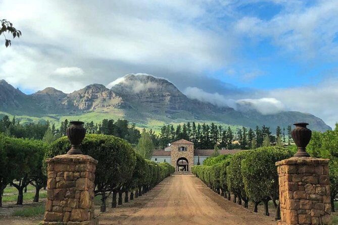 Wine Beer and Biltong Safari - Stellenbosch - Quick hits on this Stellenbosch wine, beer, and biltong day