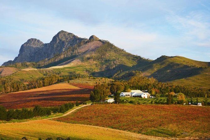 Wine Beer and Biltong Safari - Stellenbosch - Cape Town pickup and a smooth 10:00 start