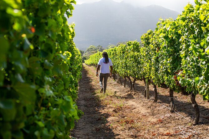 Wine Beer and Biltong Safari - Stellenbosch - Wine farms and tastings with a real South African pairing