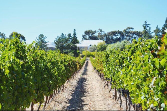 Wine Beer and Biltong Safari - Stellenbosch - Price and value: what $105.62 is buying you