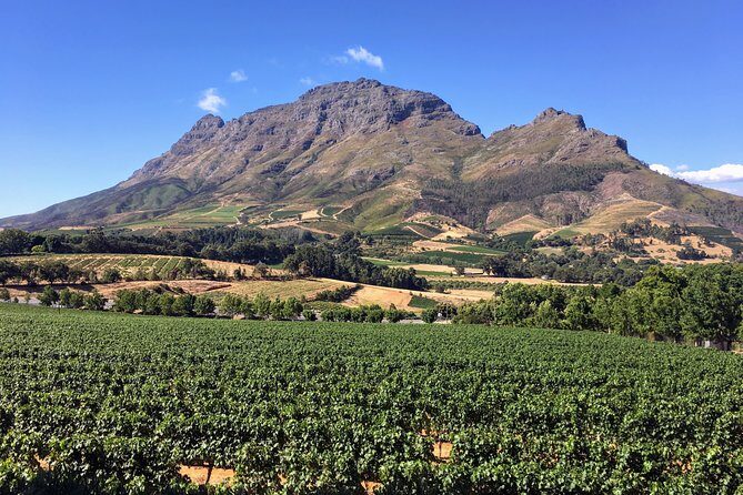 Wine tasting - Boutique farms - Key things to love about boutique farms in Stellenbosch
