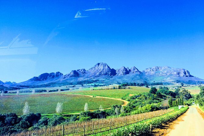Wine tasting - Boutique farms - The three farms experience: why boutique wins