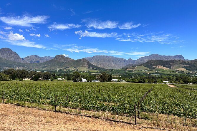 Wine Tasting in Cape's Top Three Winelands Private Tour - Tokara on a Hilltop: Modern Winery, Art Gallery, and Views