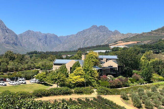 Wine Tasting Private Tour in Cape Winelands - Franschhoek Time: The Valley of Dreams Without the Pressure