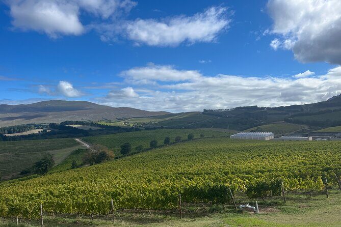 Wine Tasting Private Tour in Cape Winelands - Fairview Wine and Cheese: Up to Five Tastings Paired With Cheese