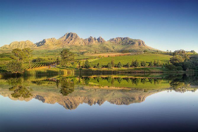 Winelands Full Day Tour - Key Things That Make This Winelands Day Different