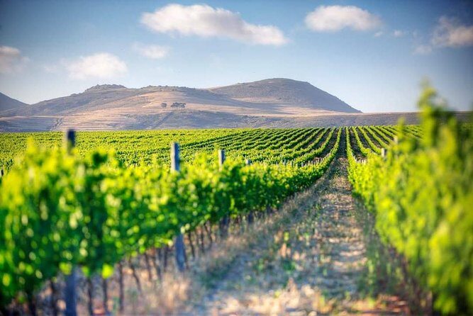 Winelands Full Day Tour - Why This Winelands Day Trip Works From Cape Town
