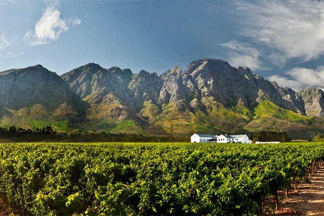 Winelands Full Day Tour - Stop One at Waterford Estate: Cellar Tour and Cheese Pairing
