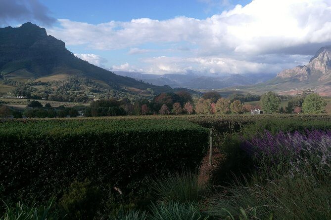 Winelands Full Day Tour - Walking Franschhoek: Town Time Plus a Second Tasting