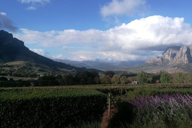 Winelands Full Day Tour - Stellenbosch’s Dorp Street: Cape Dutch Lanes and Real Walking Time