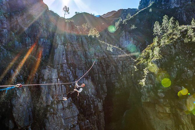 Zip Line and Wine from Cape Town - Should you book the Zip Line and Wine from Cape Town?