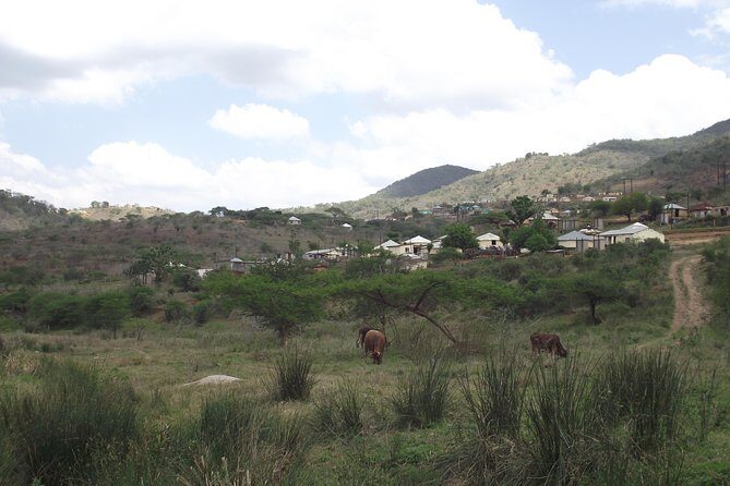 Zulu Cultural Experience - Tour to the village of iSithumba and PheZulu - Lunch in the Valley of 1000 Hills: budget time and flexibility