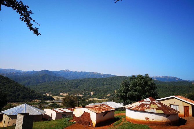 Zulu Cultural Experience: Zulu Village + Tribal Markets + Traditional Zulu Food - Price and logistics: does $168 deliver real value?