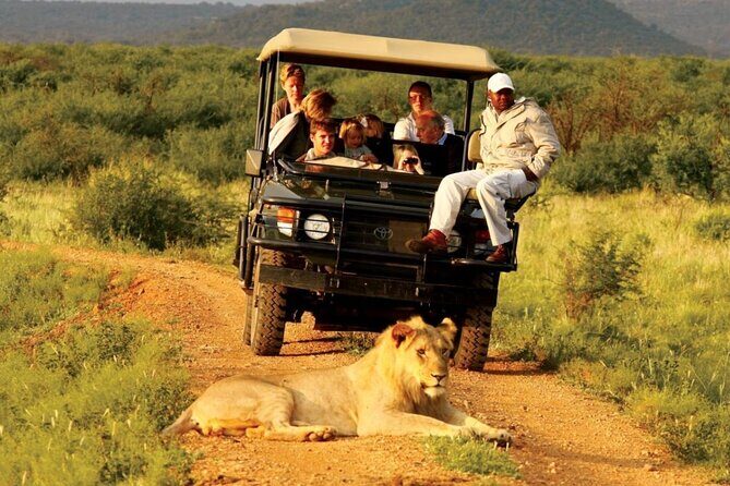 Zululand 5 Day Private Safari from Durban - Day 4: Phezulu Safari Park Zulu village dances, reptile park, and Mandela Capture Site