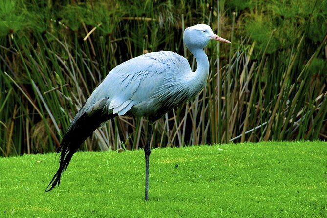 Zululand 5 Day Private Safari from Durban - Pacing and comfort: how to make these long days feel good