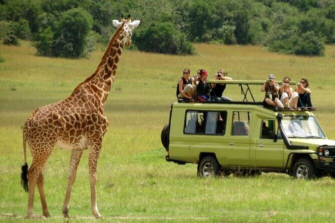 Zululand 5 Day Private Safari from Durban - Day 2: St Lucia Estuary hippo-croc cruise, then iSimangaliso Wetlands Park game drive